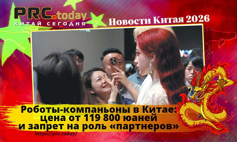 Роботы-компаньоны