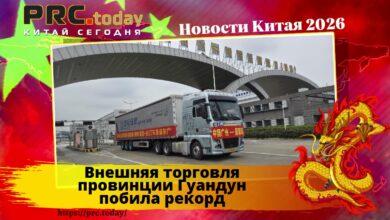 Внешняя торговля