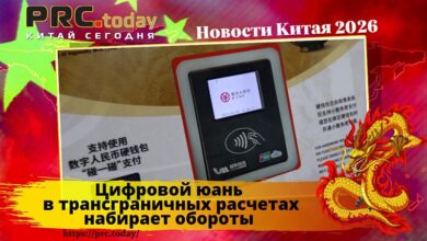 Цифровой юань