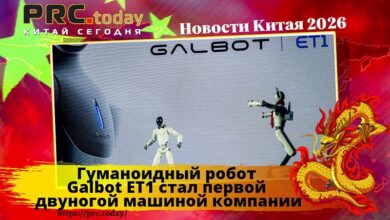 Galbot ET1