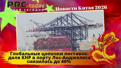 Глобальные цепочки поставок