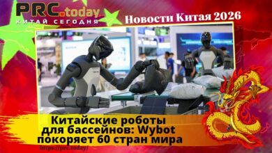 Китайские роботы