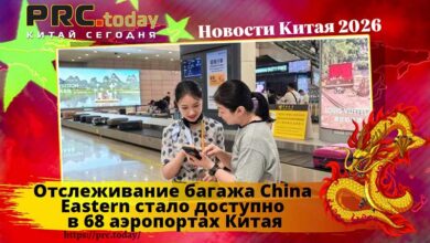 Отслеживание багажа