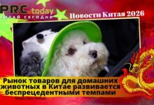 Рынок товаров для домашних животных