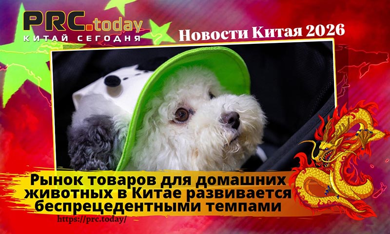 Рынок товаров для домашних животных