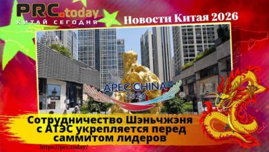 Сотрудничество Шэньчжэня с АТЭС