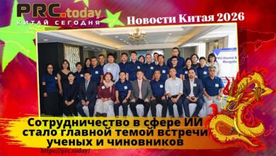 Сотрудничество в сфере ИИ