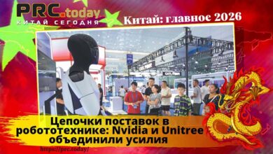 Цепочки поставок