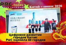 Цифровое развитие