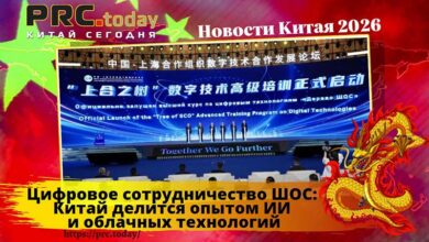 Цифровое сотрудничество ШОС