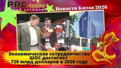 Экономическое сотрудничество ШОС