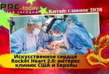 Искусственное сердце Rocket Heart 2.0