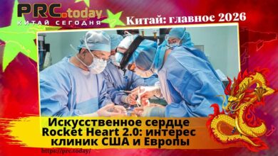 Искусственное сердце Rocket Heart 2.0