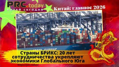Страны БРИКС