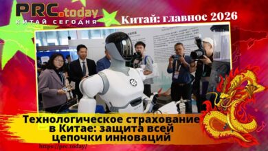 Технологическое страхование в Китае
