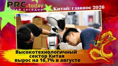 Высокотехнологичный сектор