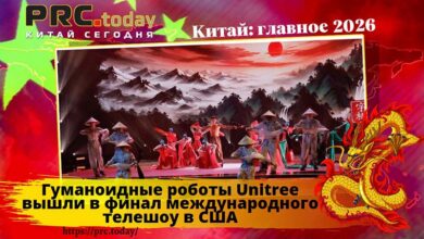 Гуманоидные роботы Unitree