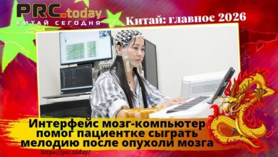 Интерфейс мозг-компьютер