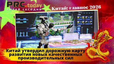 Дорожная карта развития