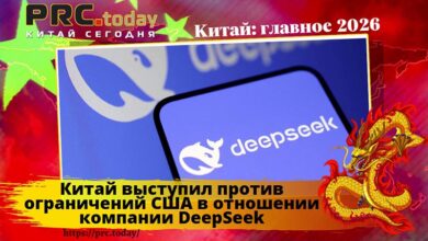 DeepSeek