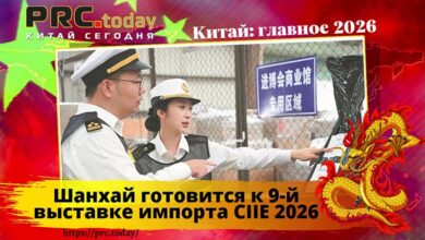 Шанхай CIIE