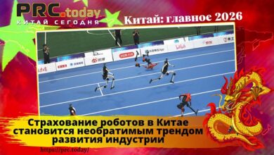 Страхование роботов в Китае